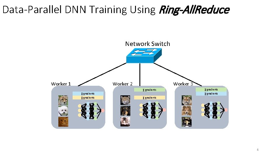 Data-Parallel DNN Training Using Ring-All. Reduce Network Switch Worker 2 Worker 1 Worker 3