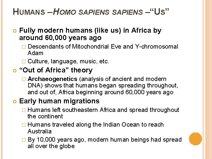 HUMANS – HOMO SAPIENS –“US” Fully modern humans (like us) in Africa by around