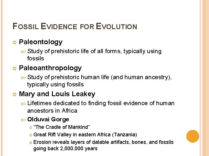 FOSSIL EVIDENCE FOR EVOLUTION Paleontology Study of prehistoric life of all forms, typically using