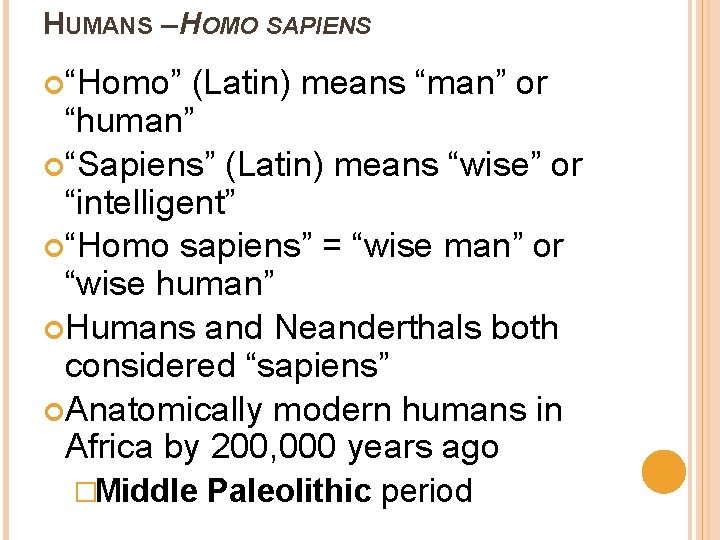 HUMANS – HOMO SAPIENS “Homo” (Latin) means “man” or “human” “Sapiens” (Latin) means “wise”