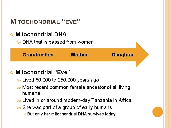 MITOCHONDRIAL “EVE” Mitochondrial DNA that is passed from women Grandmother Mother Daughter Mitochondrial “Eve”