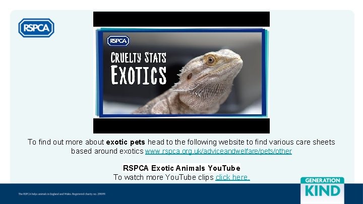 To find out more about exotic pets head to the following website to find