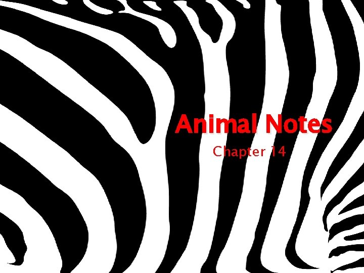 Animal Notes Chapter 14 