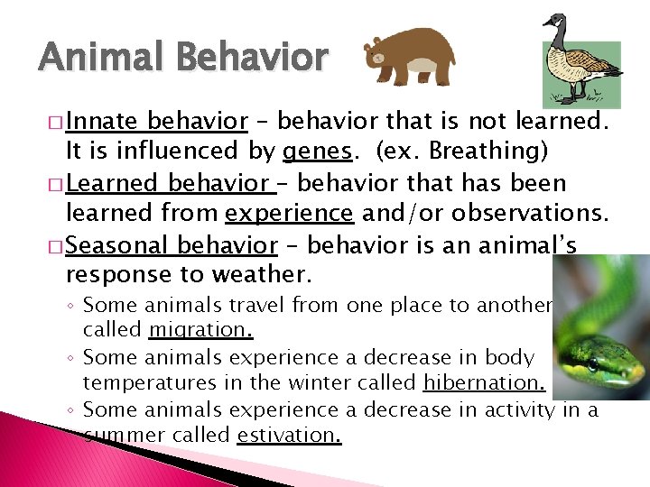 Animal Behavior � Innate behavior – behavior that is not learned. It is influenced