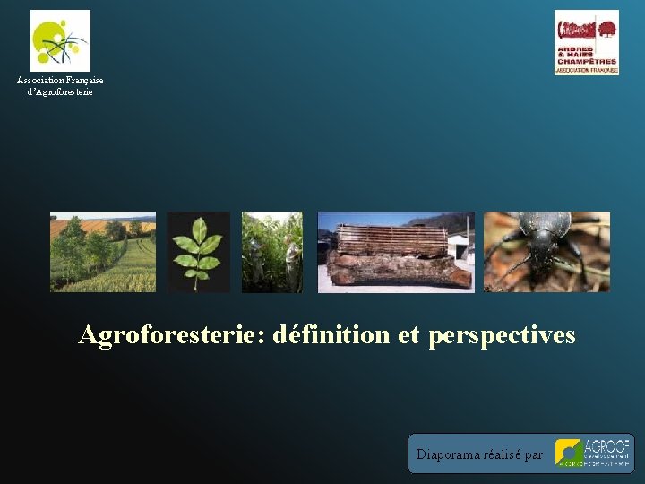 Association Française d’Agroforesterie: définition et perspectives Diaporama réalisé par 