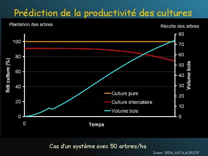 Prédiction de la productivité des cultures Cas d’un système avec 50 arbres/ha Source: INRA,