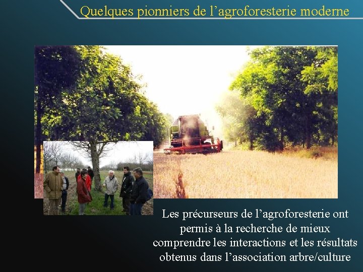 Quelques pionniers de l’agroforesterie moderne Les précurseurs de l’agroforesterie ont permis à la recherche