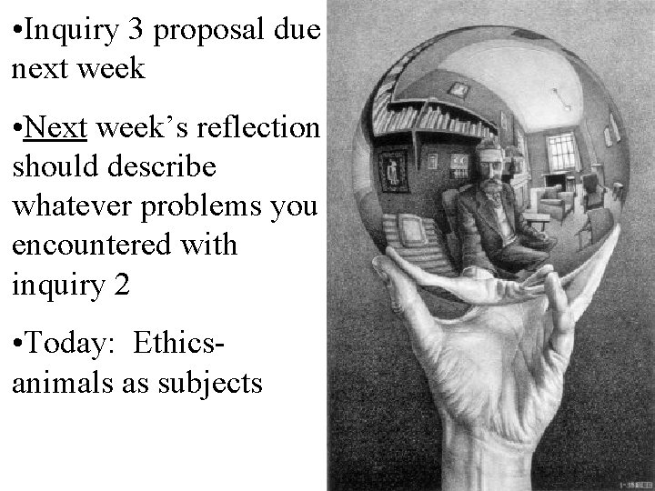  • Inquiry 3 proposal due next week • Next week’s reflection should describe