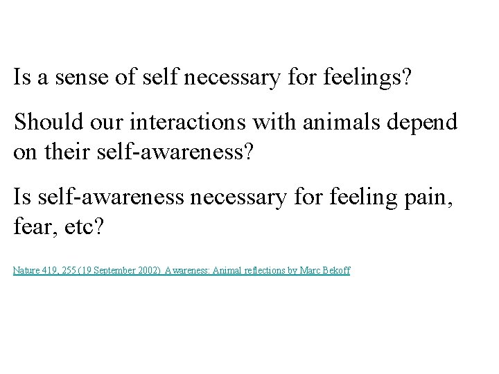 Is a sense of self necessary for feelings? Should our interactions with animals depend