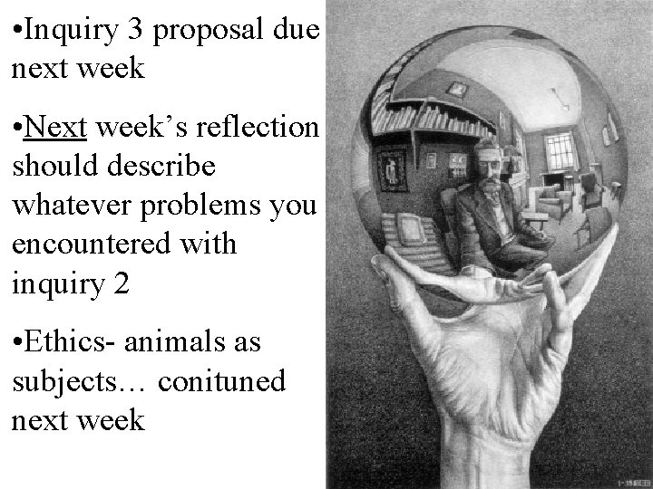  • Inquiry 3 proposal due next week • Next week’s reflection should describe