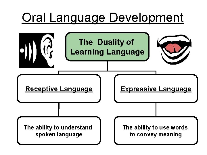 Oral Language Development The Duality of Learning Language Receptive Language Expressive Language The ability