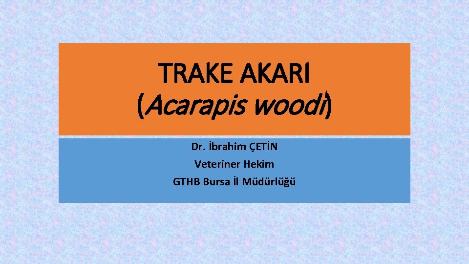 TRAKE AKARI (Acarapis woodi) Dr. İbrahim ÇETİN Veteriner Hekim GTHB Bursa İl Müdürlüğü 