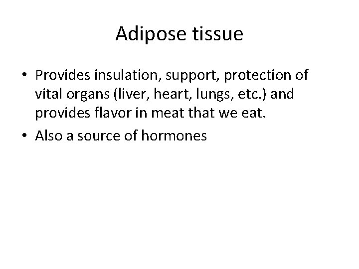 Adipose tissue • Provides insulation, support, protection of vital organs (liver, heart, lungs, etc.