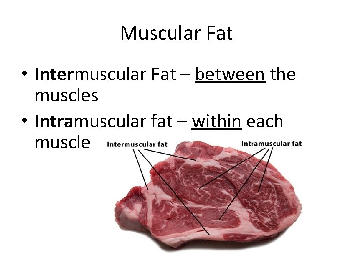 Muscular Fat • Intermuscular Fat – between the muscles • Intramuscular fat – within