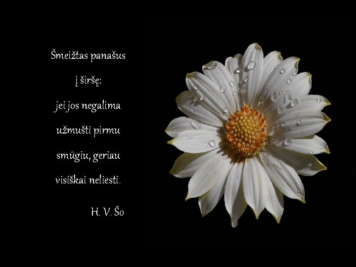 Šmeižtas panašus į širšę: jei jos negalima užmušti pirmu smūgiu, geriau visiškai neliesti. H. Šmeižtas panašus į širšę: jei jos negalima užmušti pirmu smūgiu, geriau visiškai neliesti. H.