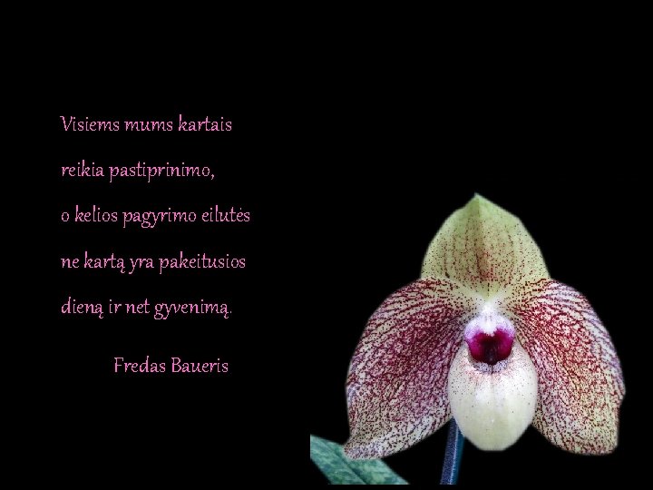 Visiems mums kartais reikia pastiprinimo, o kelios pagyrimo eilutės ne kartą yra pakeitusios dieną Visiems mums kartais reikia pastiprinimo, o kelios pagyrimo eilutės ne kartą yra pakeitusios dieną