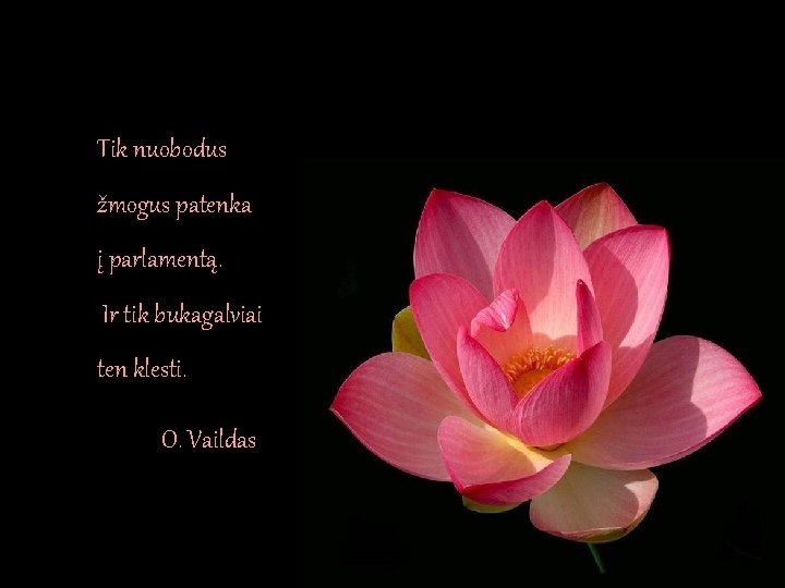 Tik nuobodus žmogus patenka į parlamentą. Ir tik bukagalviai ten klesti. O. Vaildas Tik nuobodus žmogus patenka į parlamentą. Ir tik bukagalviai ten klesti. O. Vaildas