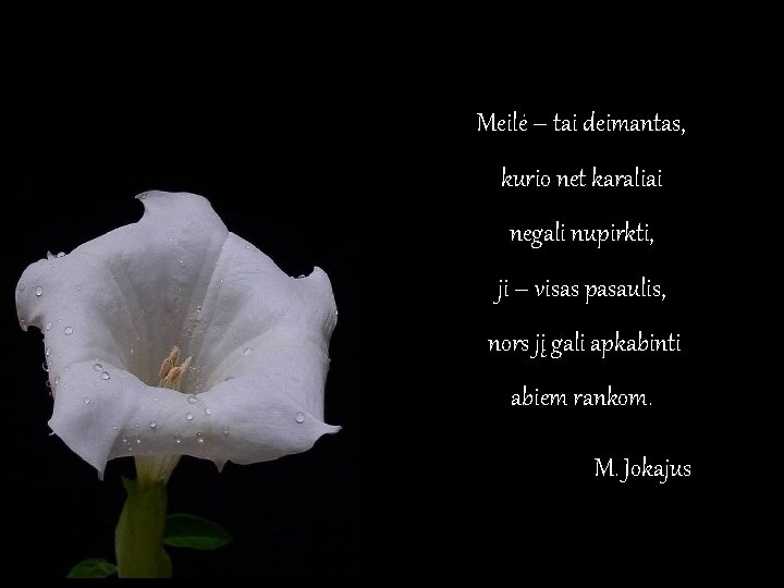 Meilė – tai deimantas, kurio net karaliai negali nupirkti, ji – visas pasaulis, nors Meilė – tai deimantas, kurio net karaliai negali nupirkti, ji – visas pasaulis, nors