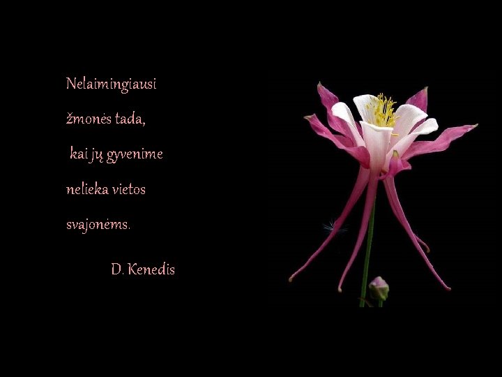 Nelaimingiausi žmonės tada, kai jų gyvenime nelieka vietos svajonėms. D. Kenedis Nelaimingiausi žmonės tada, kai jų gyvenime nelieka vietos svajonėms. D. Kenedis