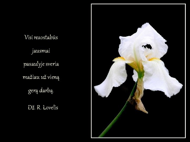 Visi nuostabūs jausmai pasaulyje sveria mažiau už vieną gerą darbą. Dž. R. Lovelis Visi nuostabūs jausmai pasaulyje sveria mažiau už vieną gerą darbą. Dž. R. Lovelis