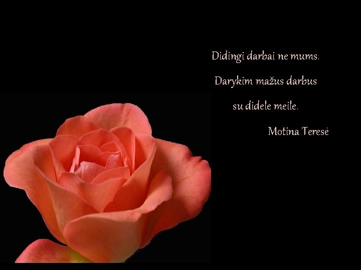 Didingi darbai ne mums. Darykim mažus darbus su didele meile. Motina Teresė Didingi darbai ne mums. Darykim mažus darbus su didele meile. Motina Teresė