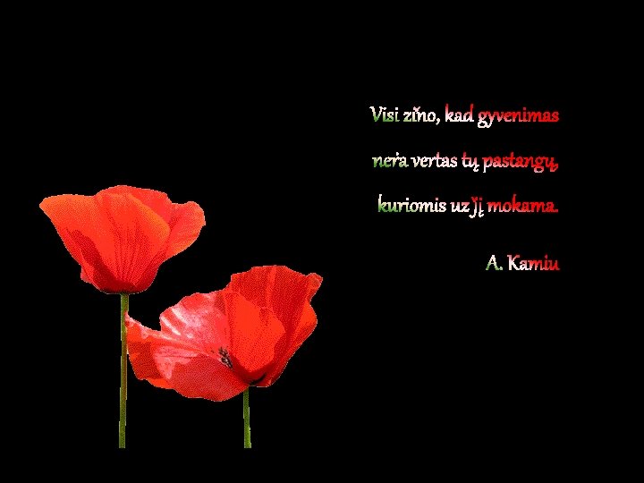 Visi žino, kad gyvenimas nėra vertas tų pastangų, kuriomis už jį mokama. A. Kamiu Visi žino, kad gyvenimas nėra vertas tų pastangų, kuriomis už jį mokama. A. Kamiu