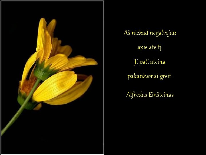 Aš niekad negalvojau apie ateitį. Ji pati ateina pakankamai greit. Alfredas Einšteinas Aš niekad negalvojau apie ateitį. Ji pati ateina pakankamai greit. Alfredas Einšteinas