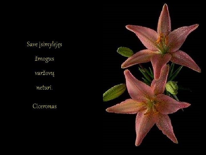 Save įsimylėjęs žmogus varžovų neturi. Ciceronas Save įsimylėjęs žmogus varžovų neturi. Ciceronas