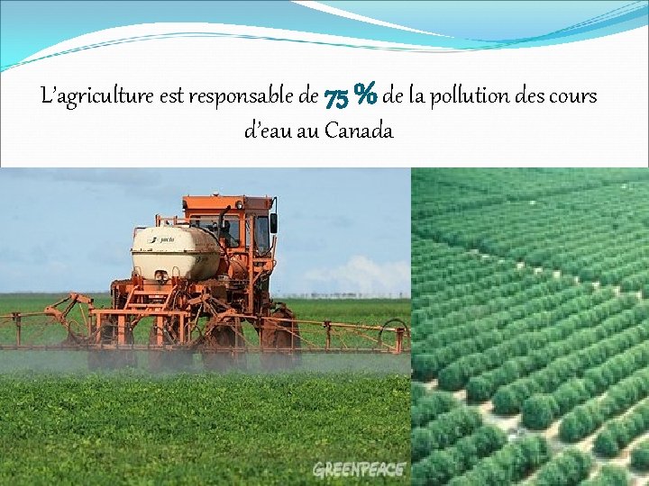 L’agriculture est responsable de 75 % de la pollution des cours d’eau au Canada
