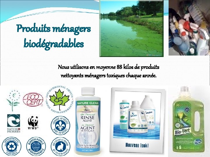 Produits ménagers biodégradables Nous utilisons en moyenne 88 kilos de produits nettoyants ménagers toxiques
