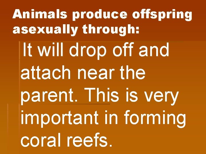 Animals produce offspring asexually through: It will drop off and attach near the parent.