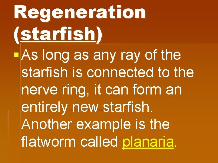 Regeneration (starfish) § As long as any ray of the starfish is connected to