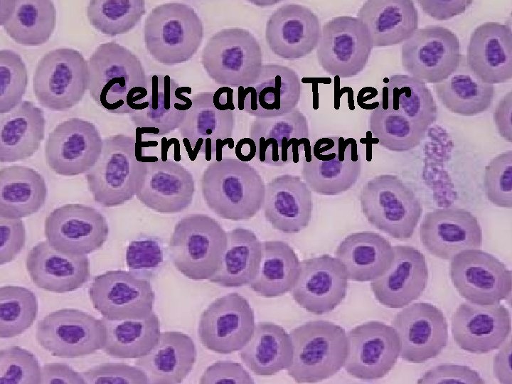Cells and Their Environment 
