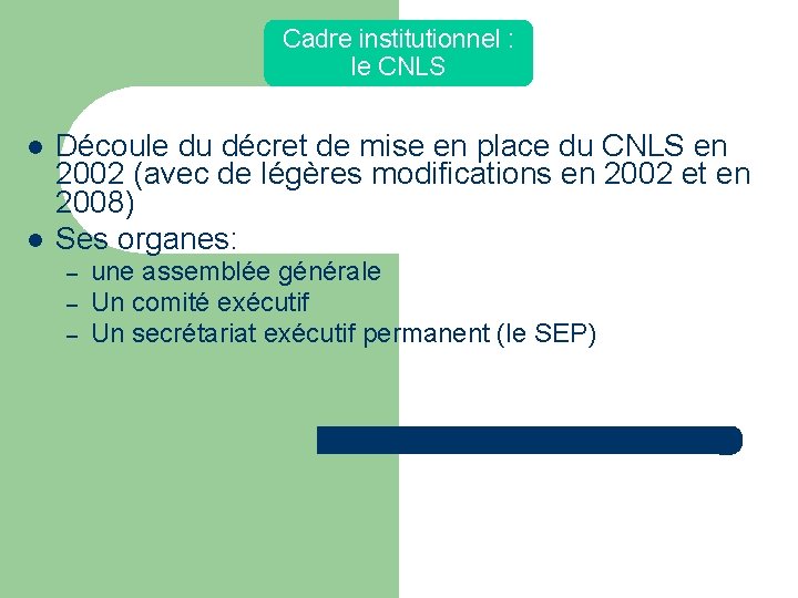 Cadre institutionnel : le CNLS Découle du décret de mise en place du CNLS