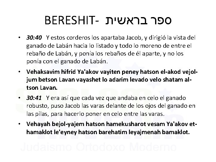 BERESHIT- ספר בראשית • 30: 40 Y estos corderos los apartaba Jacob, y dirigió