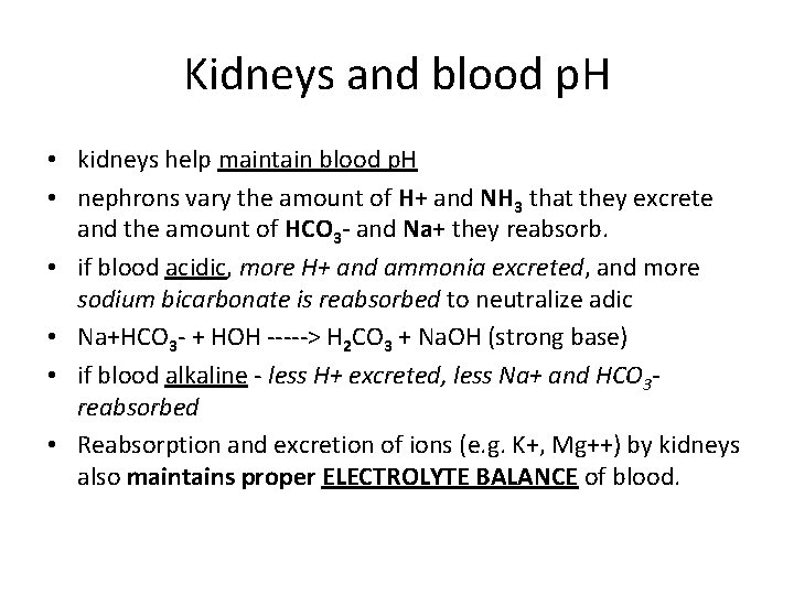 Kidneys and blood p. H • kidneys help maintain blood p. H • nephrons