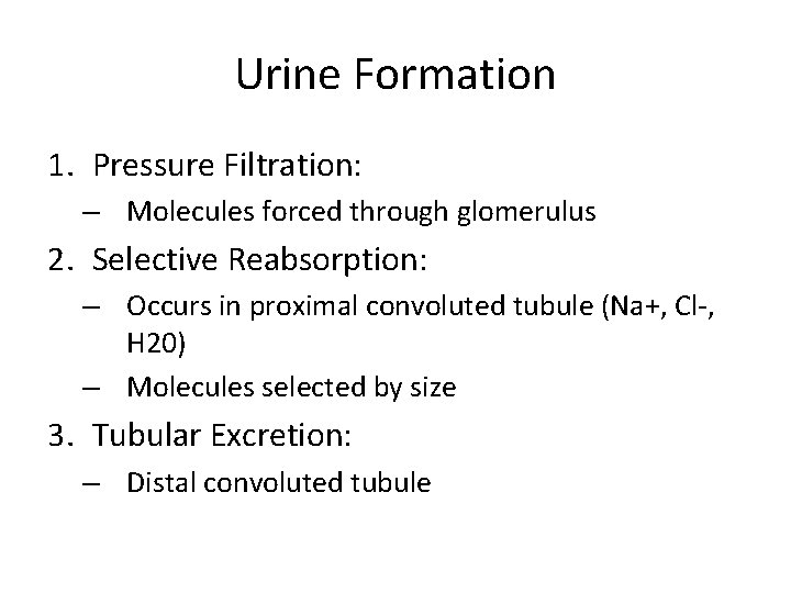 Urine Formation 1. Pressure Filtration: – Molecules forced through glomerulus 2. Selective Reabsorption: –