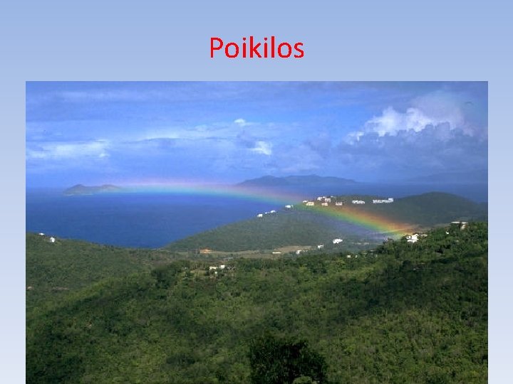 Poikilos 