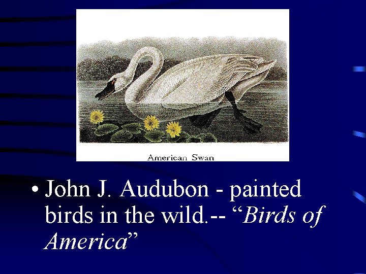  • John J. Audubon - painted birds in the wild. -- “Birds of