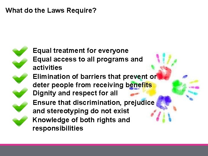 What do the Laws Require? Equal treatment for everyone Equal access to all programs