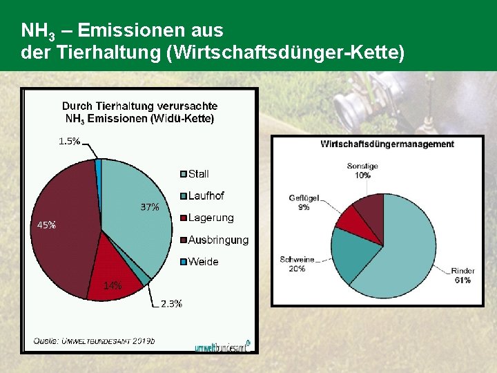 NH 3 – Emissionen aus der Tierhaltung (Wirtschaftsdünger-Kette) 