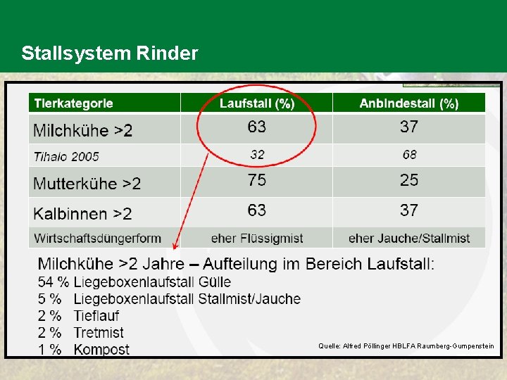 Stallsystem Rinder Quelle: Alfred Pöllinger HBLFA Raumberg-Gumpenstein 