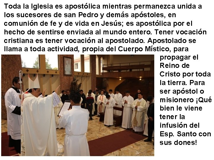 Toda la Iglesia es apostólica mientras permanezca unida a los sucesores de san Pedro