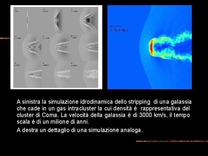 A sinistra la simulazione idrodinamica dello stripping di una galassia che cade in un A sinistra la simulazione idrodinamica dello stripping di una galassia che cade in un
