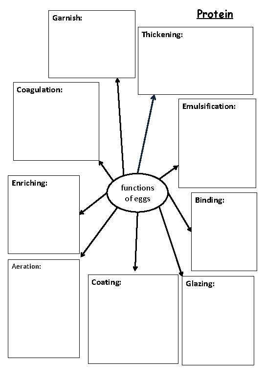 Protein Garnish: Thickening: Coagulation: Emulsification: Enriching: functions of eggs Binding: Aeration: Coating: Glazing: 