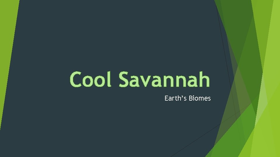 Cool Savannah Earth’s Biomes 