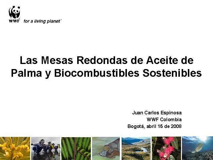 Las Mesas Redondas de Aceite de Palma y Biocombustibles Sostenibles Juan Carlos Espinosa WWF