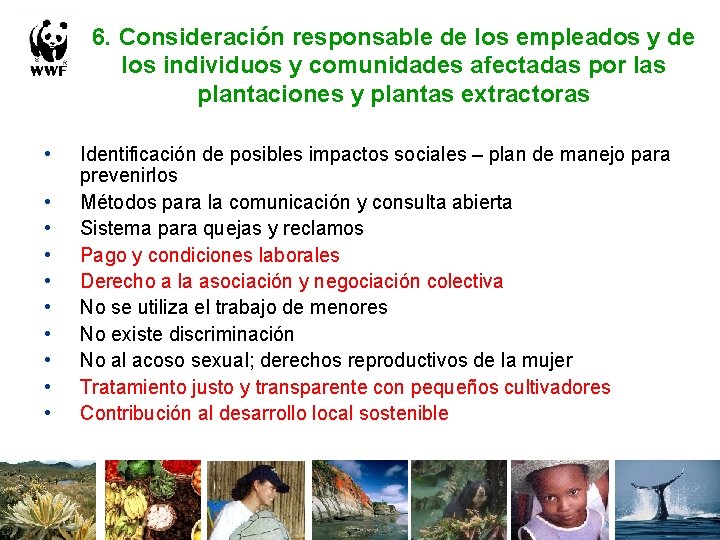 6. Consideración responsable de los empleados y de los individuos y comunidades afectadas por