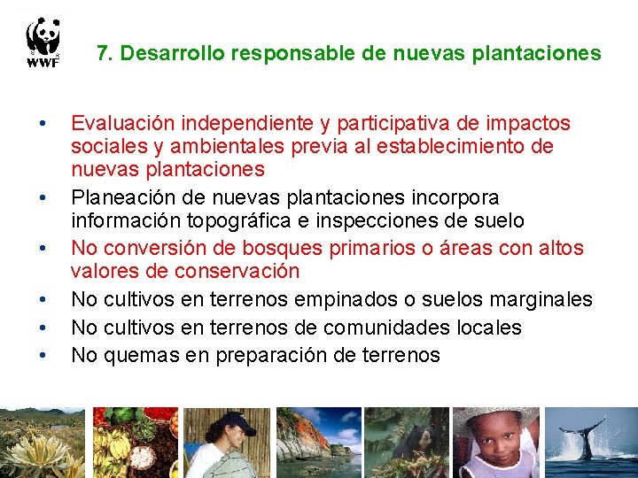 7. Desarrollo responsable de nuevas plantaciones • • • Evaluación independiente y participativa de