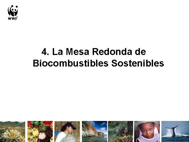 4. La Mesa Redonda de Biocombustibles Sostenibles 